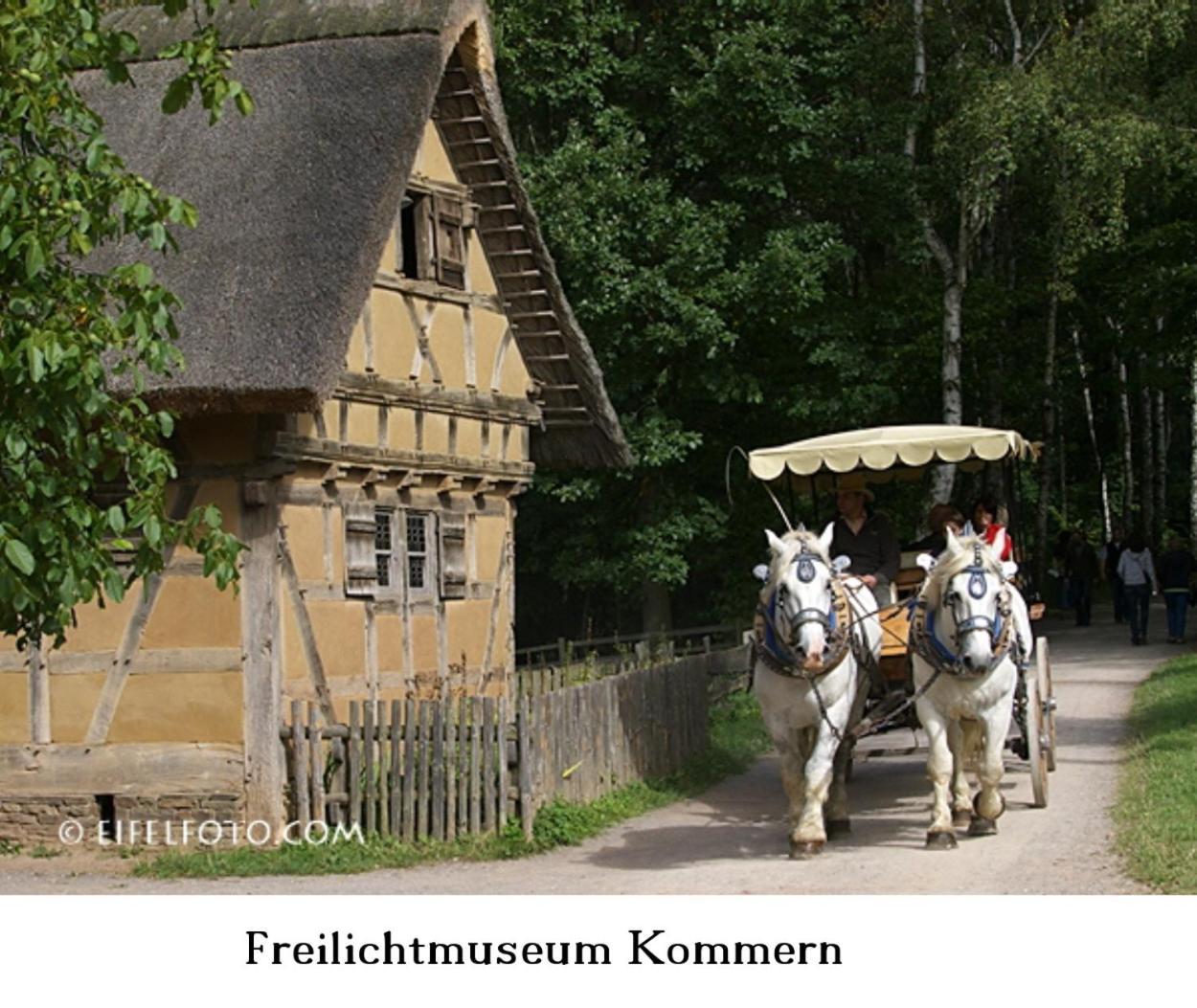Ferienwohnung Gross A Schleiden Kültér fotó